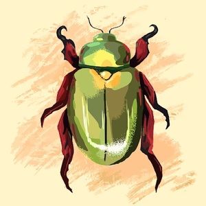 Meet your Posher, Jack